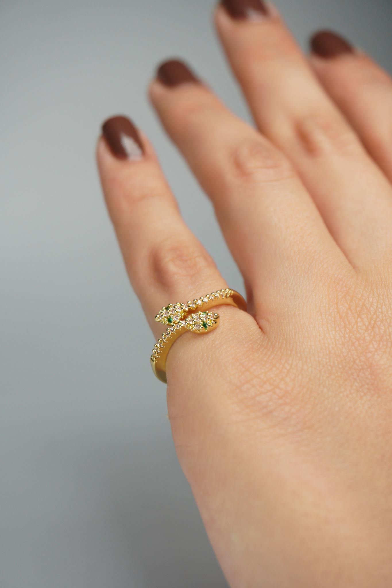 Anillo de serpientes