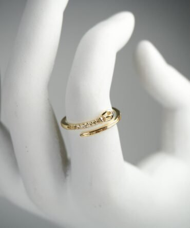 Anillo tipo correa